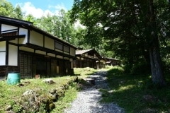 ８
