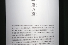 P5290093