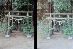 2021-02-05-0002-2