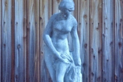 2021-01-07-33