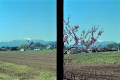 2021-05-24-00022