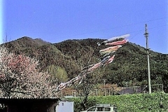 2021-05-24-00033