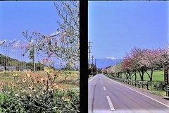 2021-05-24-00034