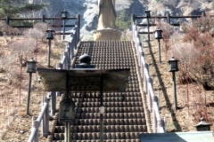 ooshika１