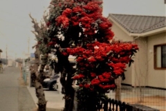 2021-01-14-0003-5
