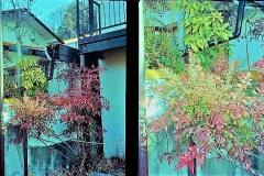 2021-04-11-00021