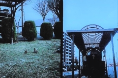 2021-04-12-0001-7
